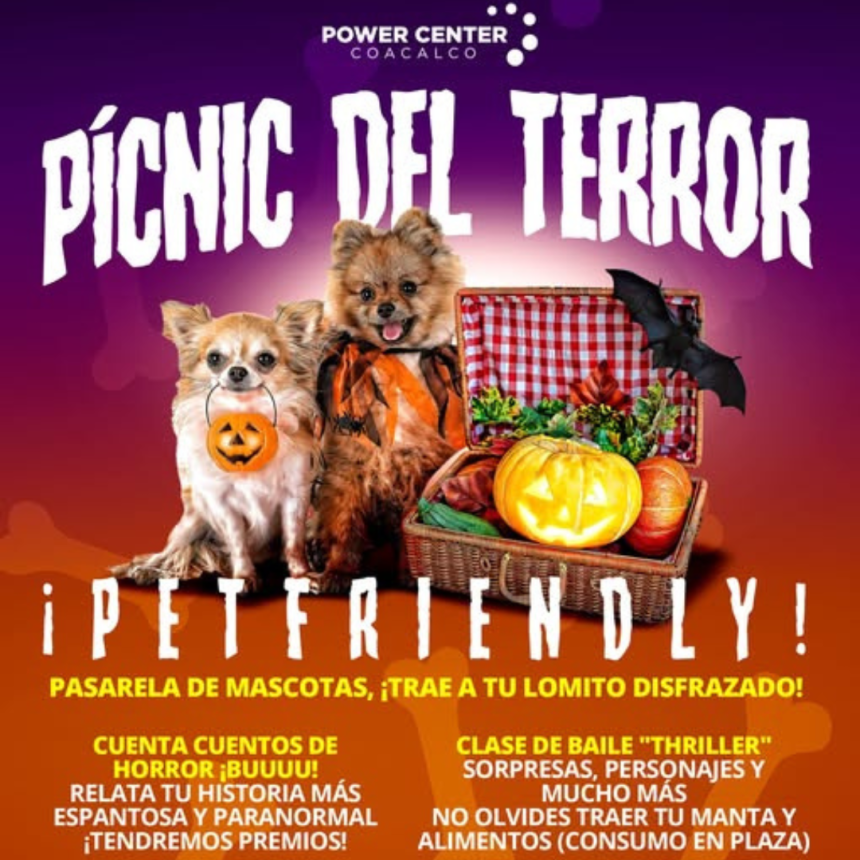 PICNIC DE TERROR PICNIC DE TERROR